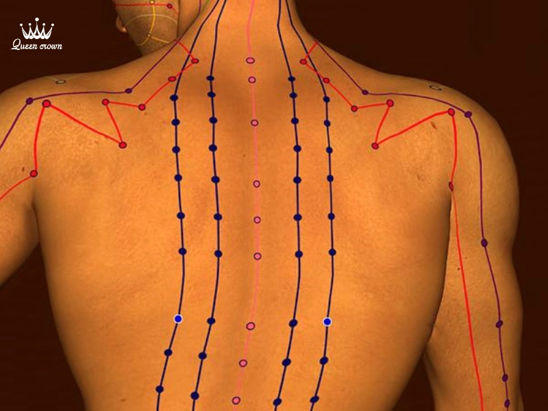 Các huyệt đạo quan trọng và tác dụng massage y học cổ truyền
