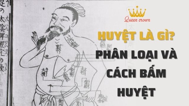 #Huyệt Là Gì? Phân Loại Các Huyệt Đạo Chính Trên Cơ Thể