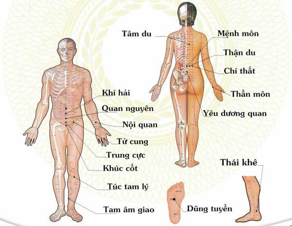 #Ý Nghĩa Của Huyệt Quan Nguyên Đối Với Nam Và Nữ