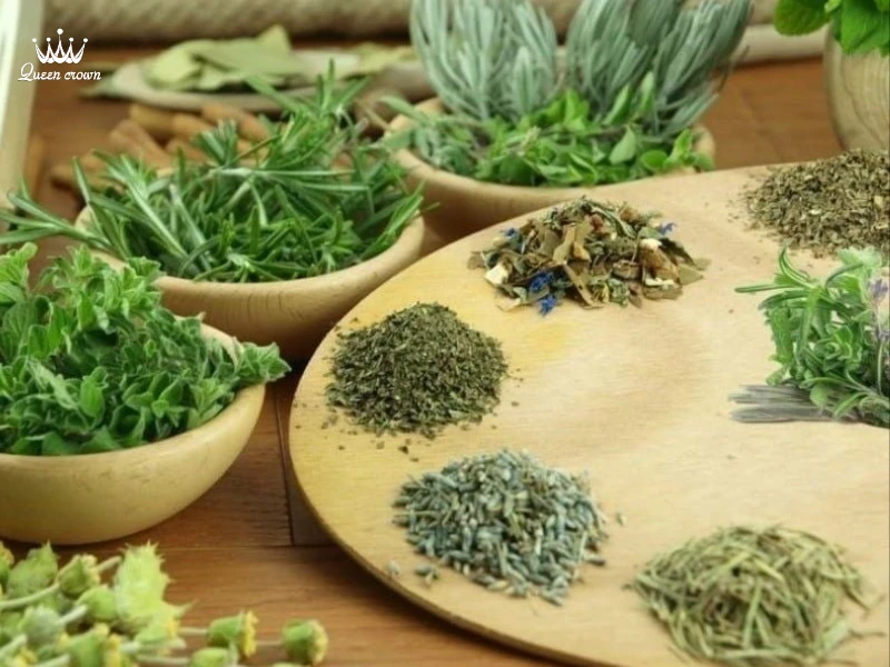 Tìm Hiểu Các Loại Thảo Dược Thường Dùng Trong Massage Y Học Cổ Truyền