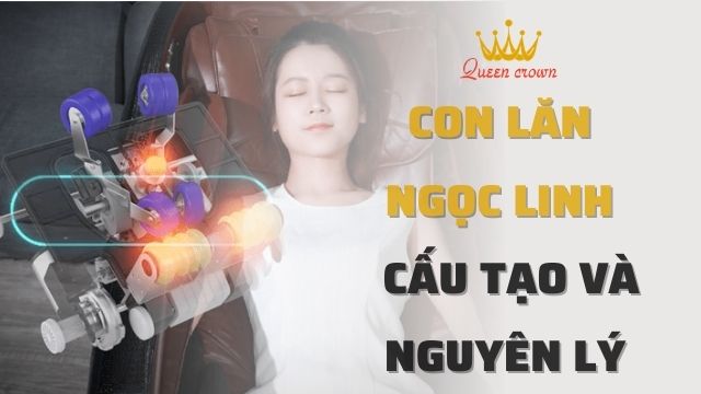 Con Lăn Ngọc Linh Là Gì? Cấu Tạo Và Nguyên Lí Hoạt Động