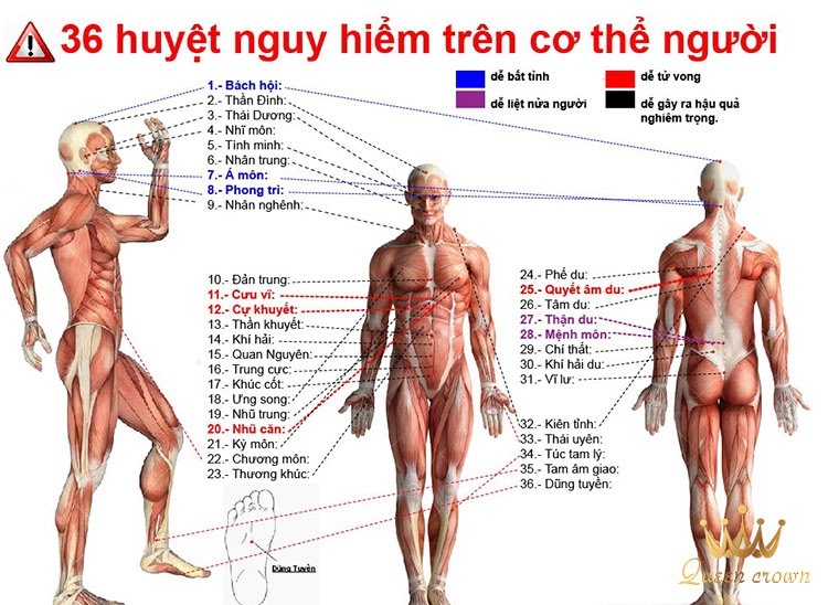 Không được xoa bóp, massage vào 36 tử huyệt trên cơ thể