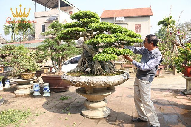 quà tặng bố ý nghĩa