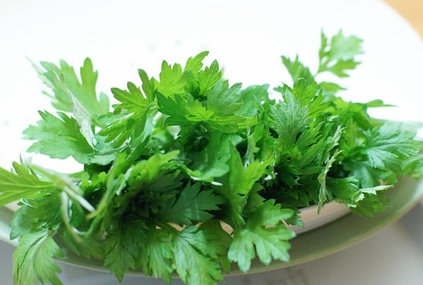 bài thuốc chữa thoái hóa cột sống lưng