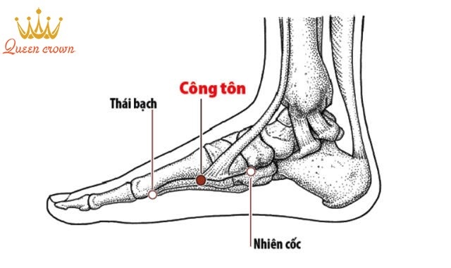 cách bấm huyệt chữa thiếu máu não
