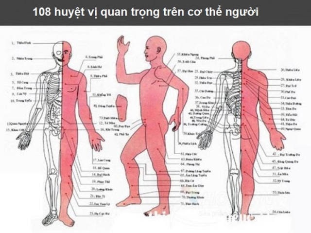 huyệt trên cơ thể