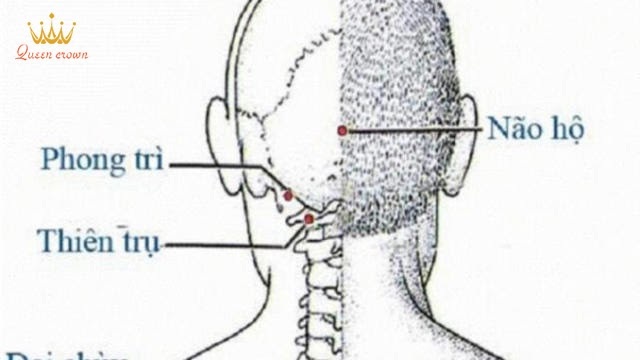108 huyệt đạo trên cơ thể