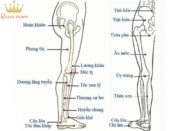 các huyệt đạo trên cơ thể