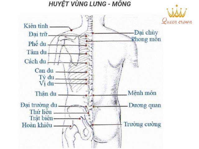 huyệt đạo trên cơ thể