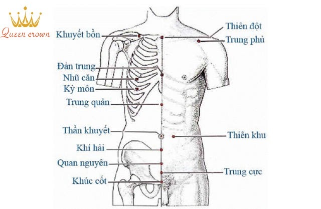 các huyệt trên cơ thể người