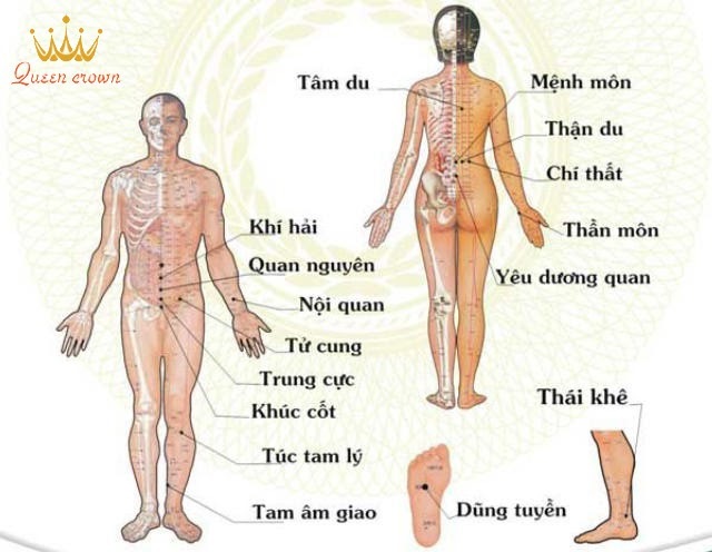 sơ đồ huyệt đạo
