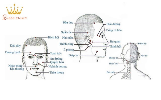 hình ảnh các huyệt đạo trên cơ thể người