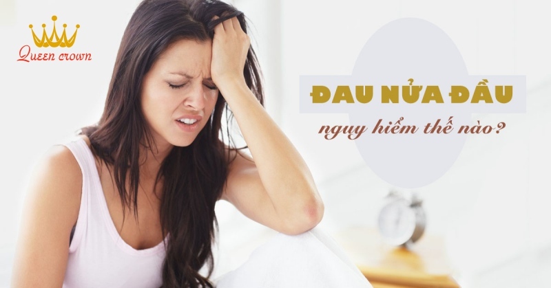 cây đinh lăng chữa bệnh xương khớp