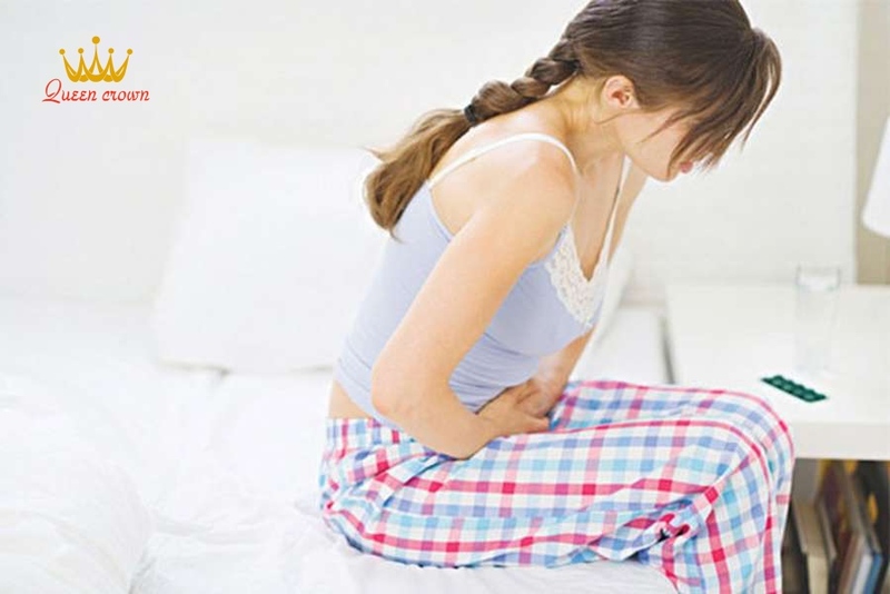 cây đinh lăng chữa bệnh xương khớp