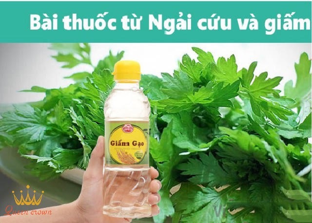 chữa đau xương khớp bằng lá ngải cứu