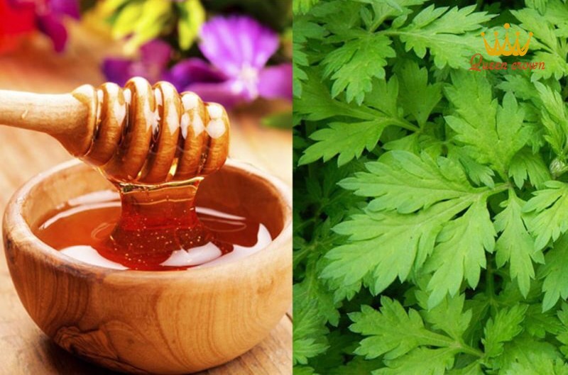 chữa đau xương khớp bằng lá ngải cứu