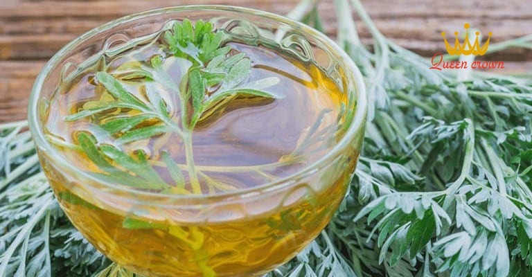 chữa đau xương khớp bằng lá ngải cứu 