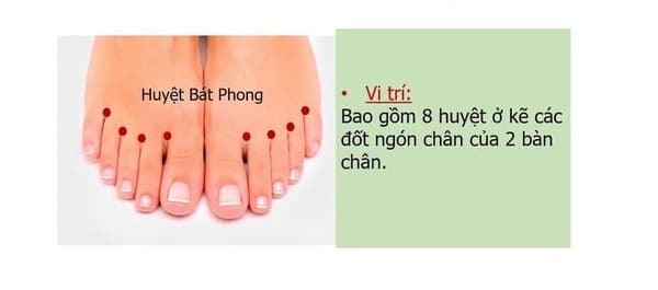 Các Huyệt Ở Bàn Chân - Huyệt bát phong