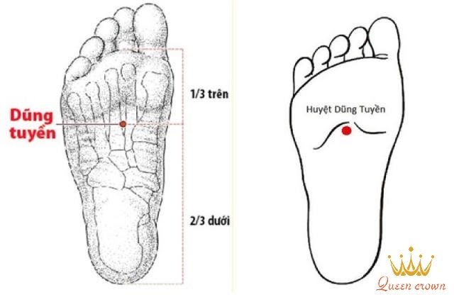 huyệt dũng tuyền nằm ở đâu