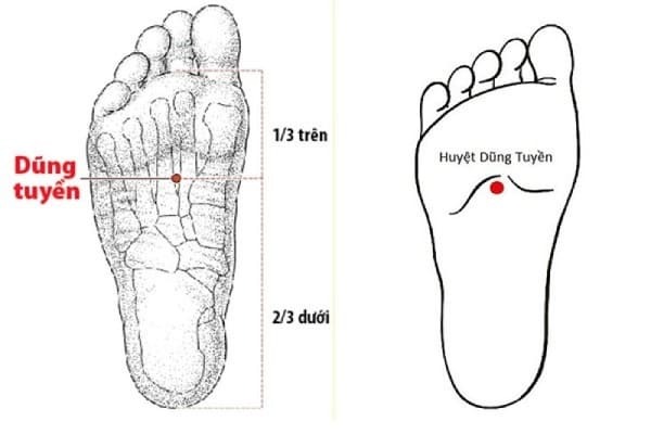 Các Huyệt Ở Bàn Chân - Huyệt dũng tuyền