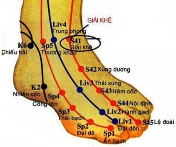 Các Huyệt Ở Bàn Chân - Huyệt giải khê