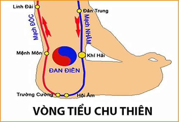 huyệt hội âm