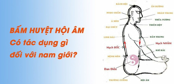 huyệt hội âm