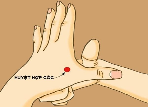 huyệt hợp cốc là gì