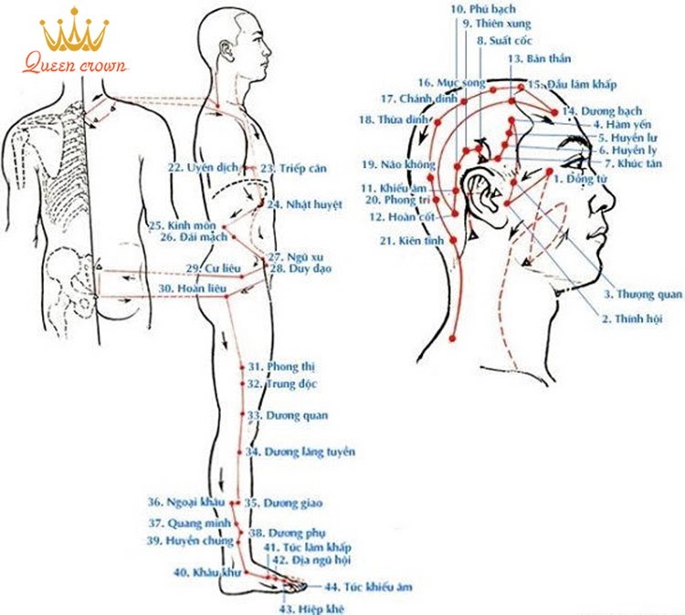 Các huyệt nằm ngoài đường kinh