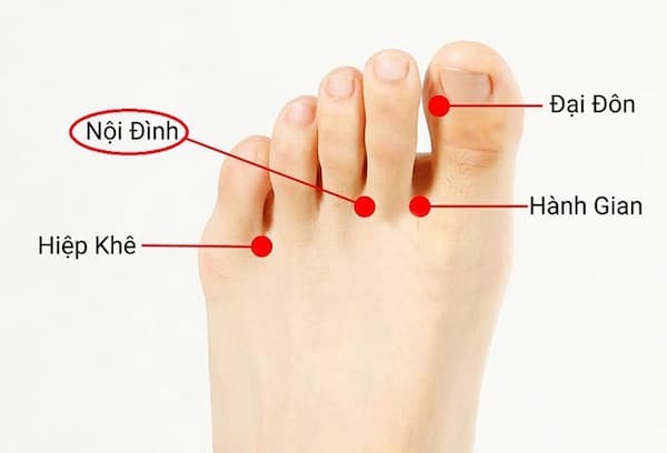 huyệt nội đình
