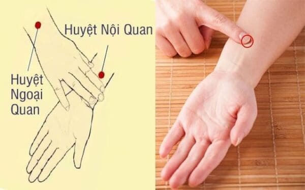 nội quan