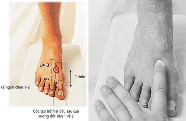 Các Huyệt Ở Bàn Chân - Huyệt thái xung