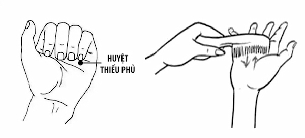 #Huyệt Thiếu Phủ Là Gì? Vị Trí Và Tác Dụng Chữa Bệnh