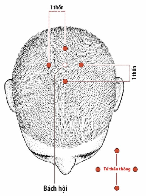 huyệt tứ thần thông