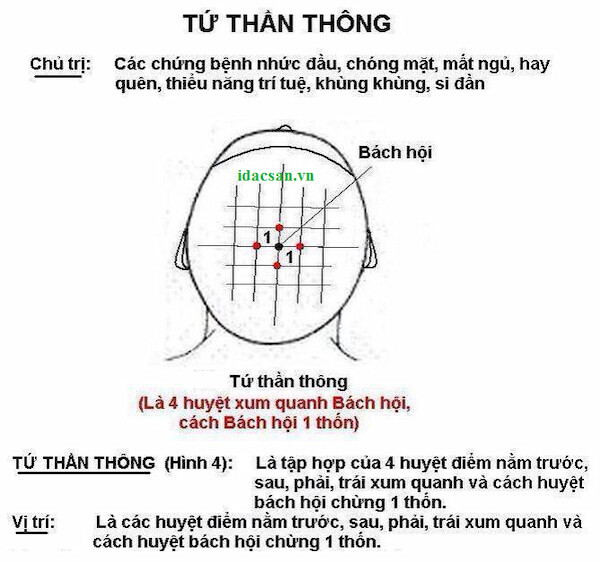 huyệt tứ thần thông