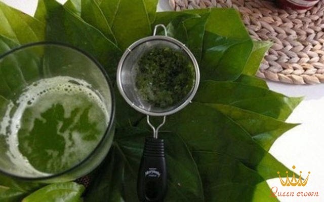 chữa đau nhức xương khớp bằng lá lốt