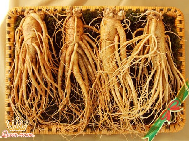 mua quà biếu người già