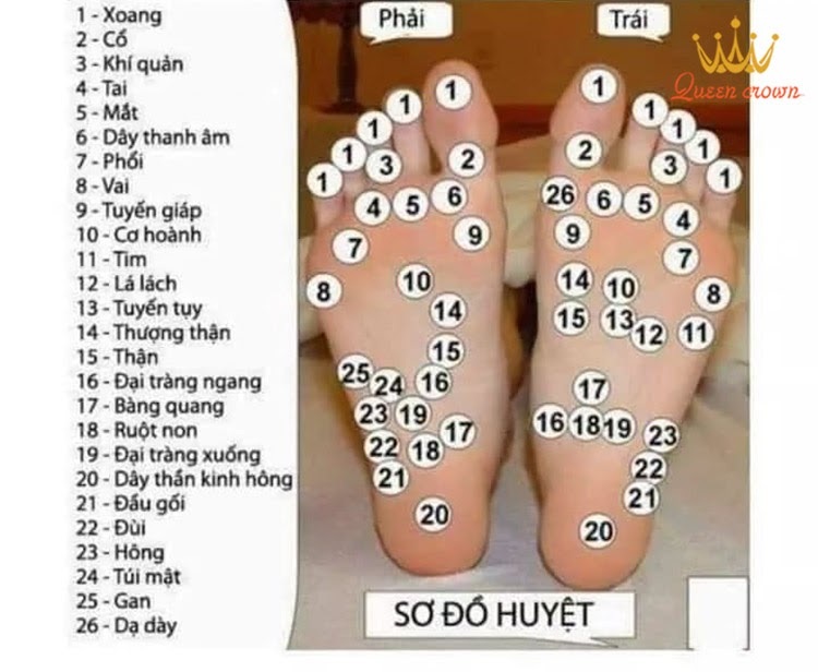 Bản đồ huyệt lòng bàn chân