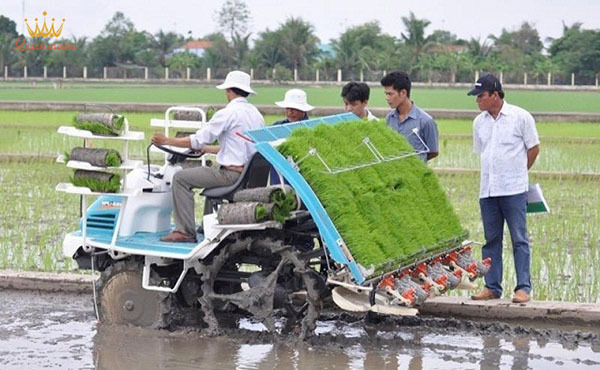 ý tưởng kinh doanh