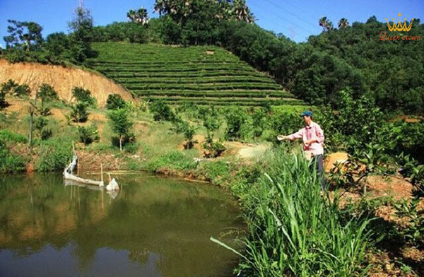ý tưởng kinh doanh