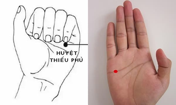 #Huyệt Thiếu Phủ Là Gì? Vị Trí Và Tác Dụng Chữa Bệnh
