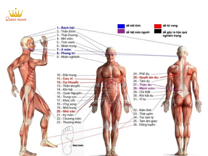 "Bản Đồ" Huyệt Đạo Cổ Vai Gáy: "Bí Kíp" Giảm Đau Nhức, Căng Thẳng Tại Nhà!